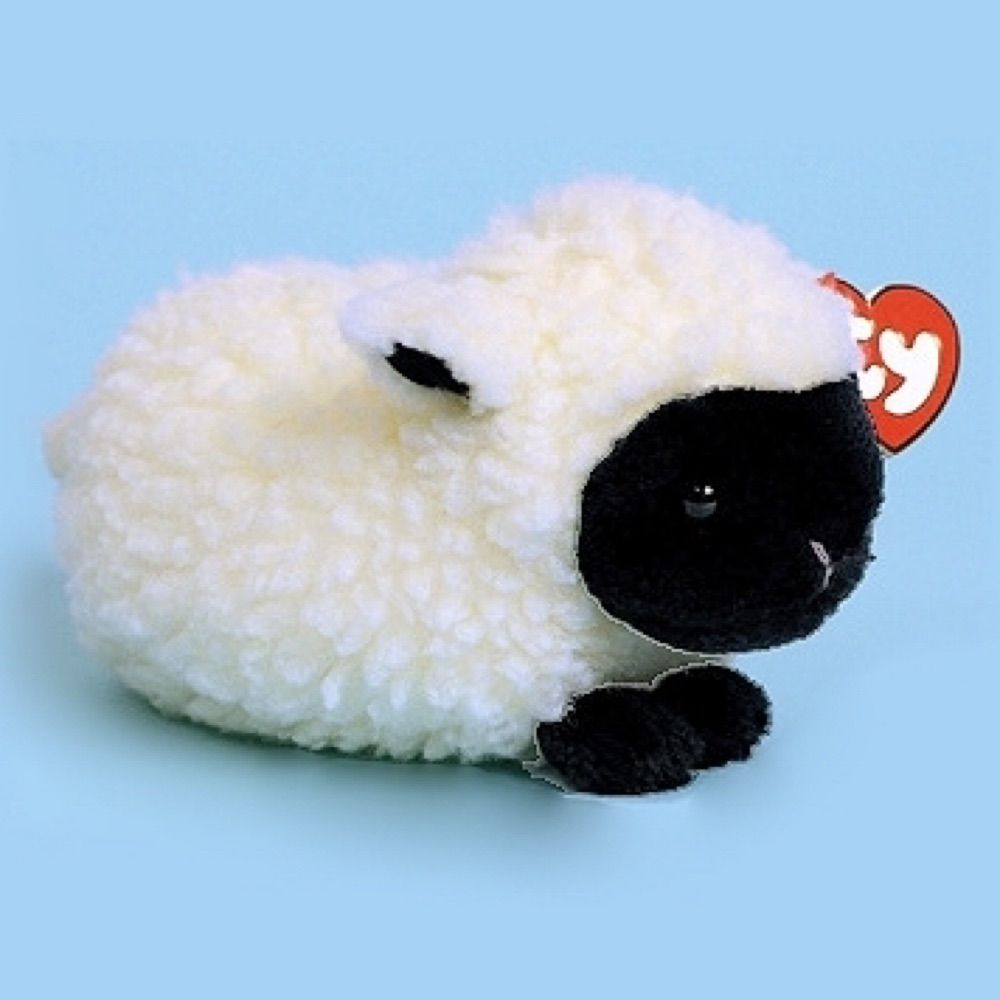 ✿ Sheepo ㅇㅅㅇ 🐾 🍉