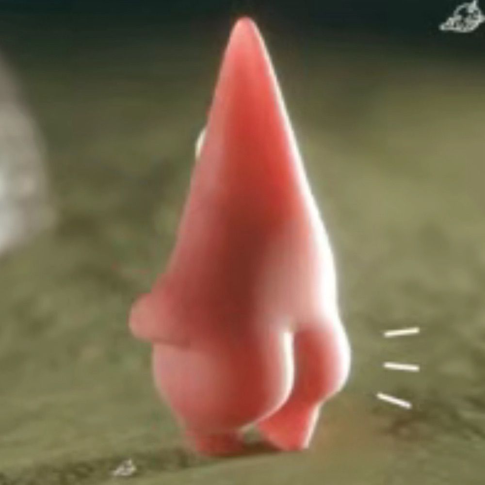 YY