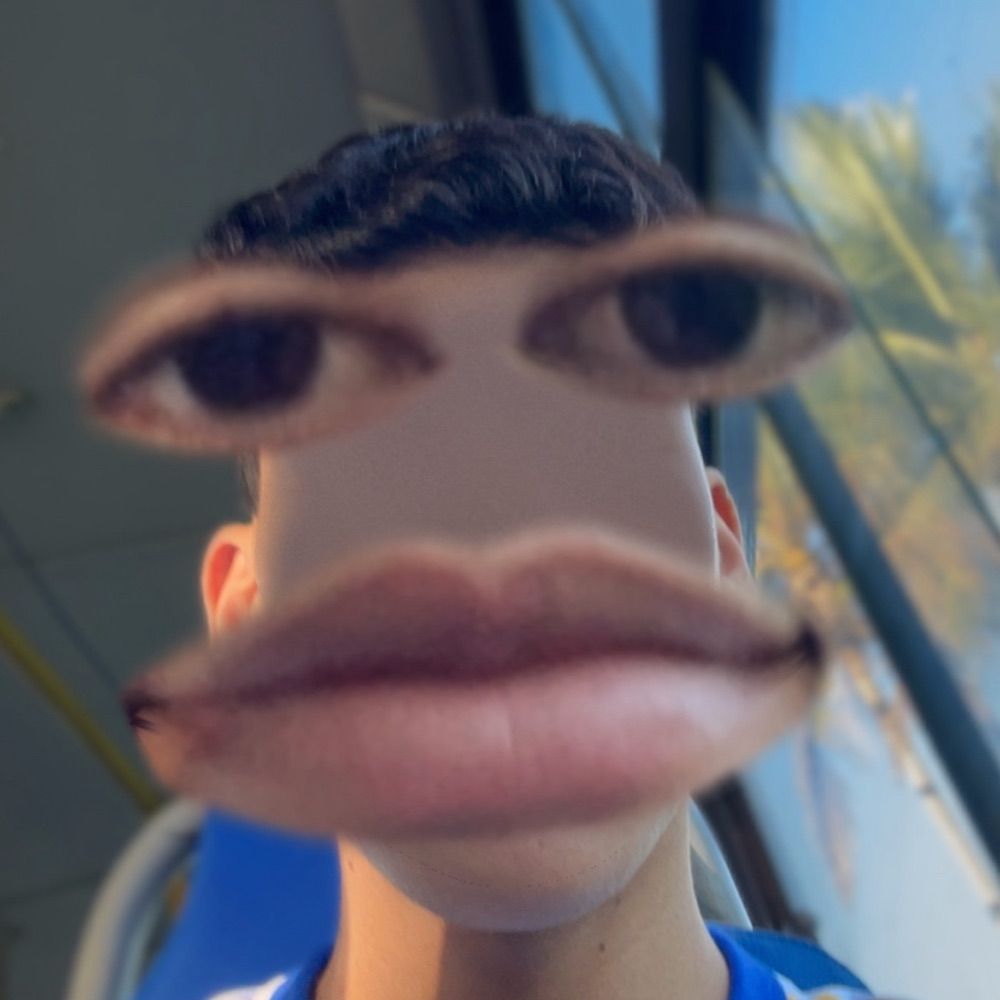 🪽