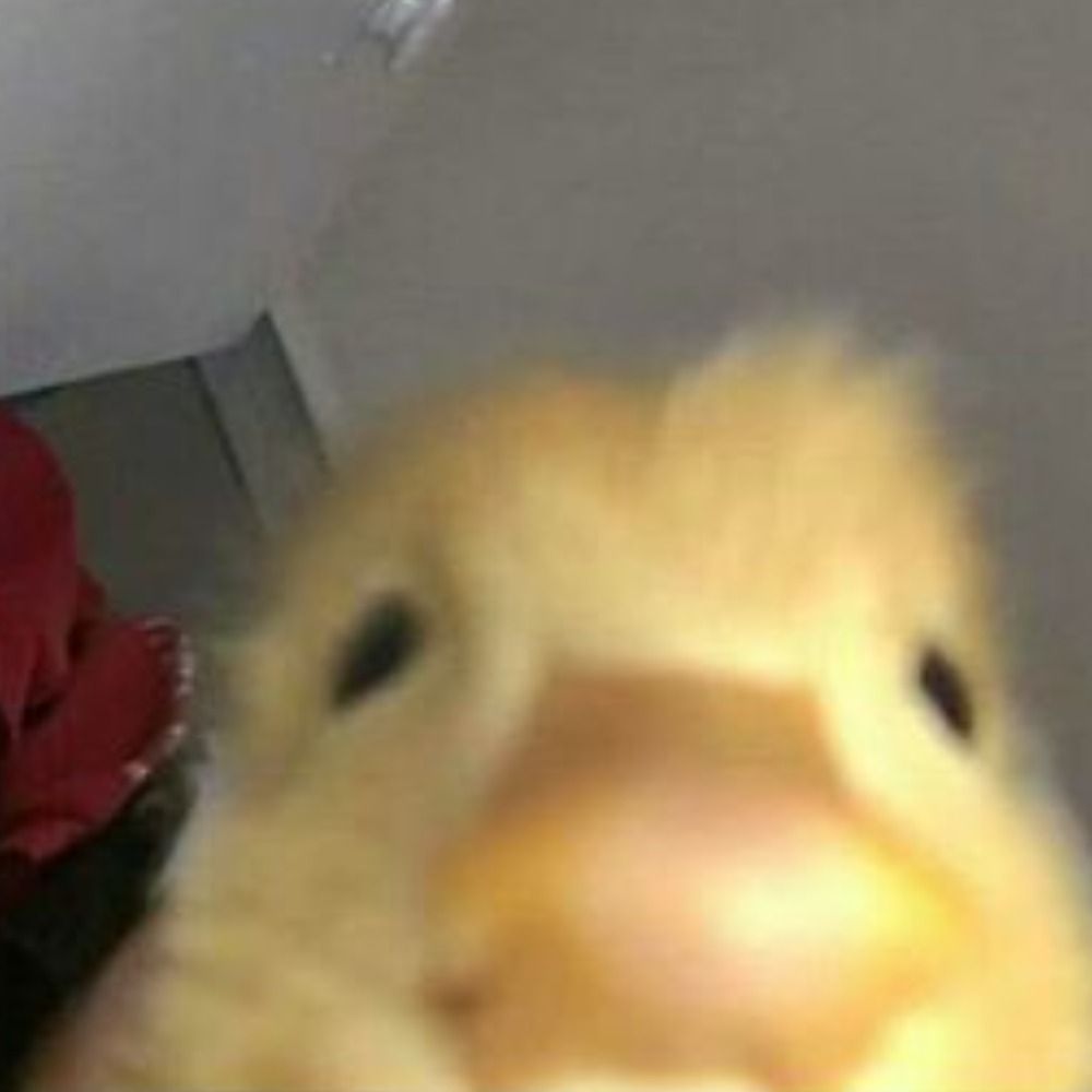 Matheus