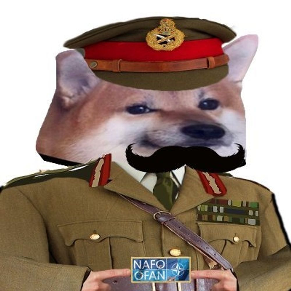 CRO Fella