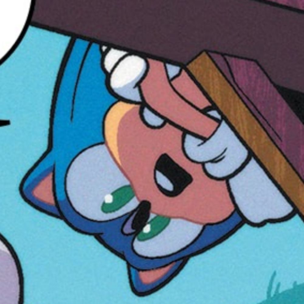 Sonic