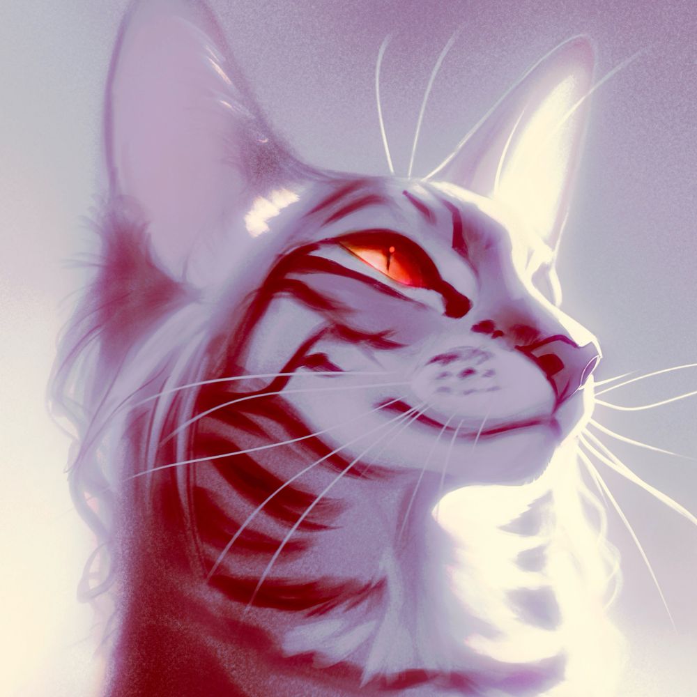 Catafyra