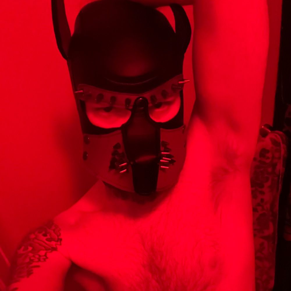 PupDemmy