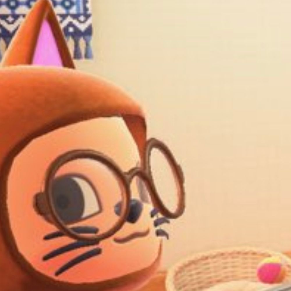 ねこ溺愛