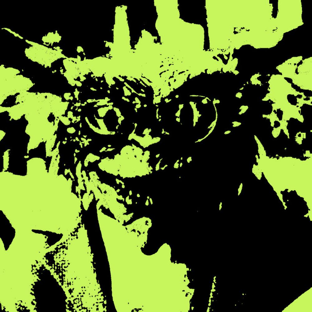 mothmanthemoth