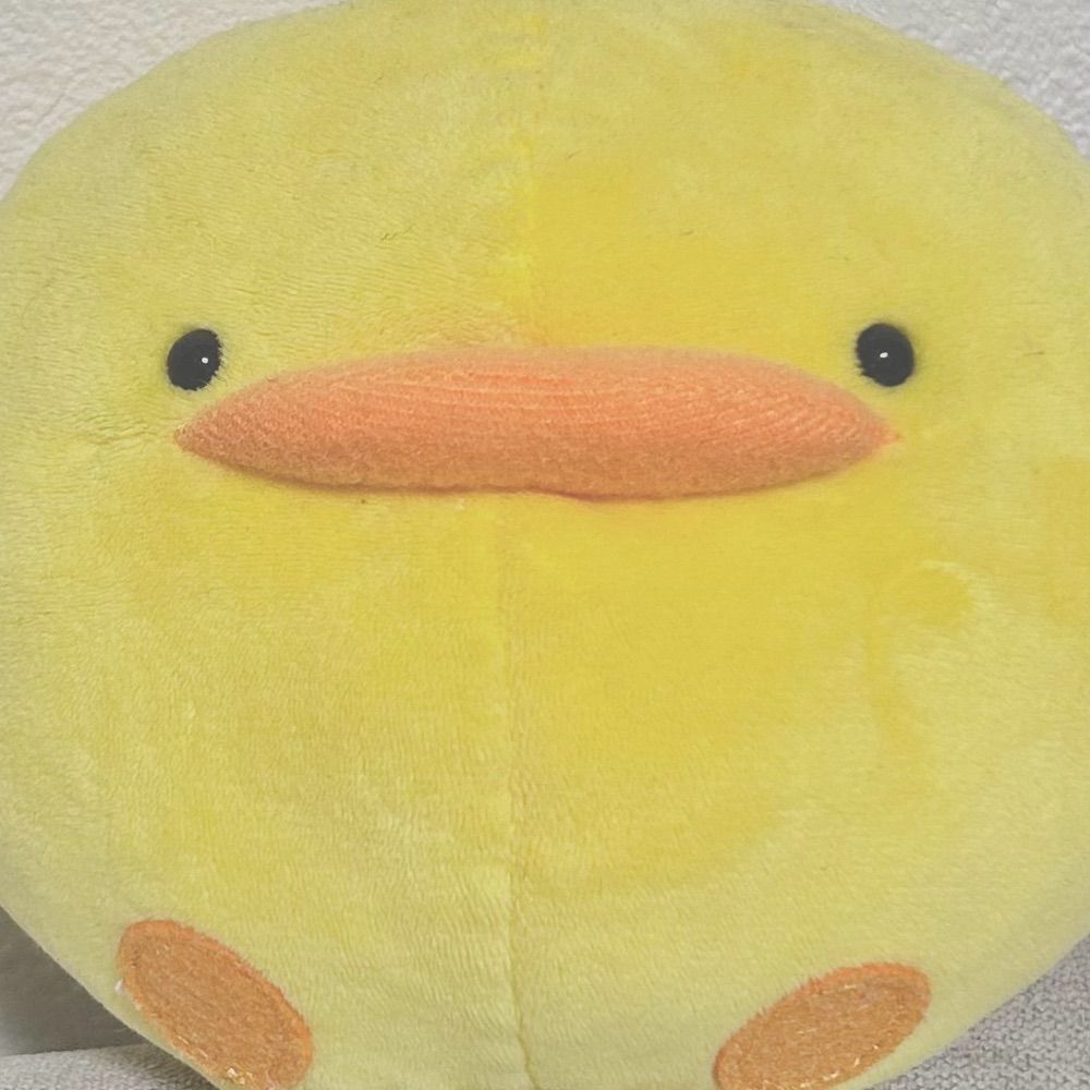 槻