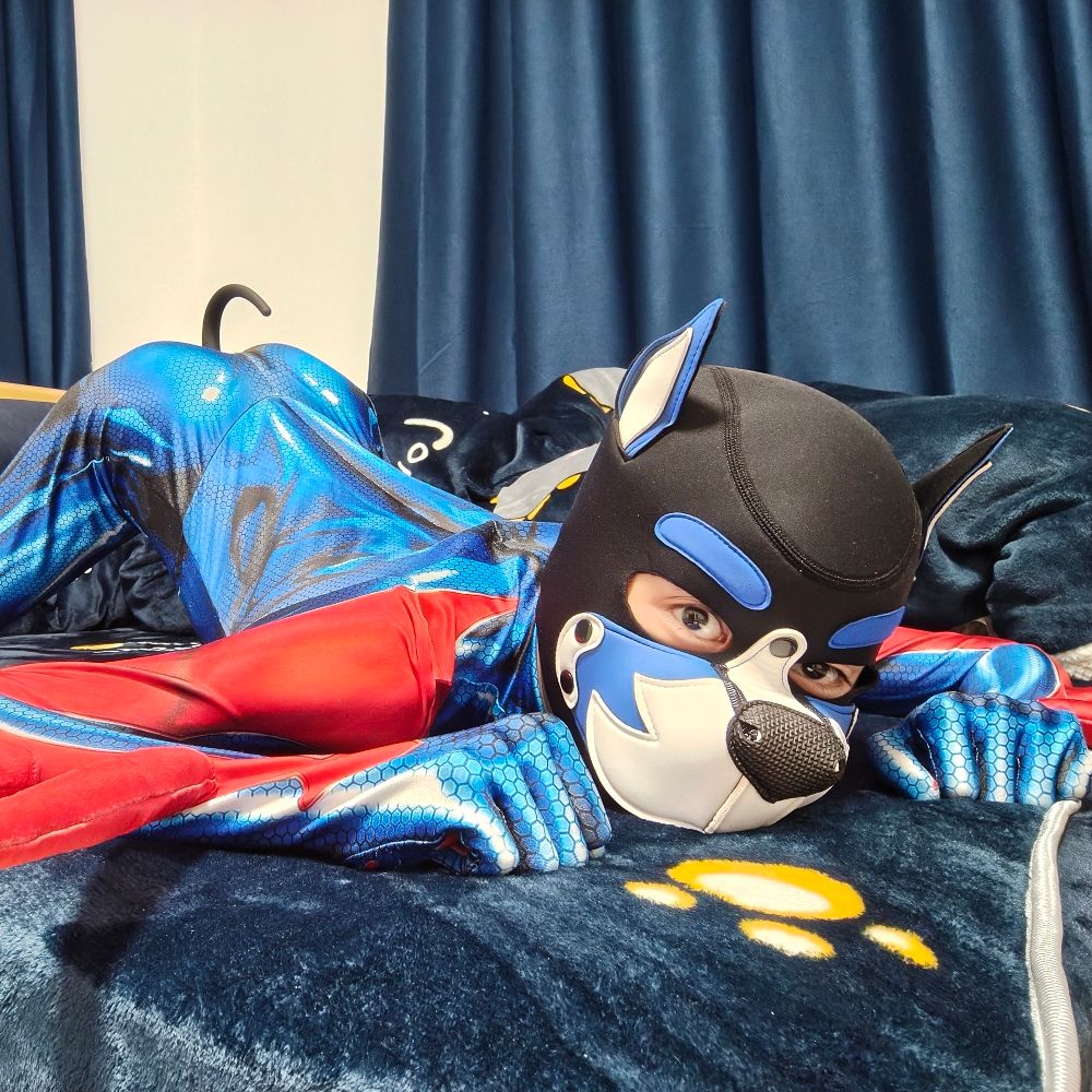 小炮射大雕