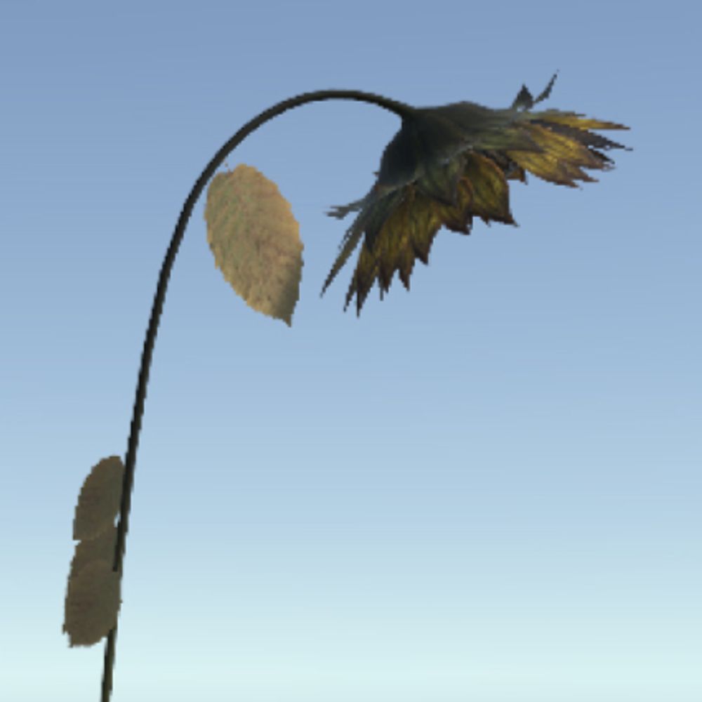 リューカ
