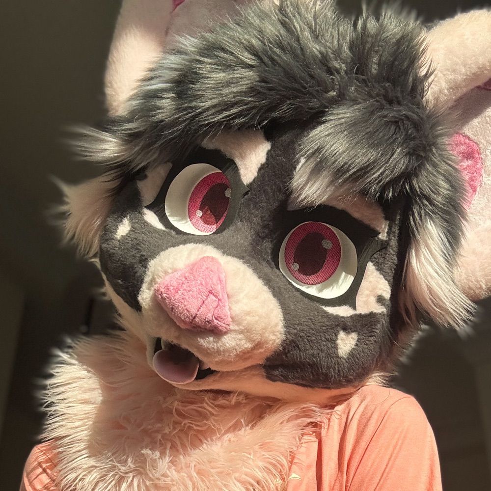 Shiloh 🦇💗 🏳️‍⚧️