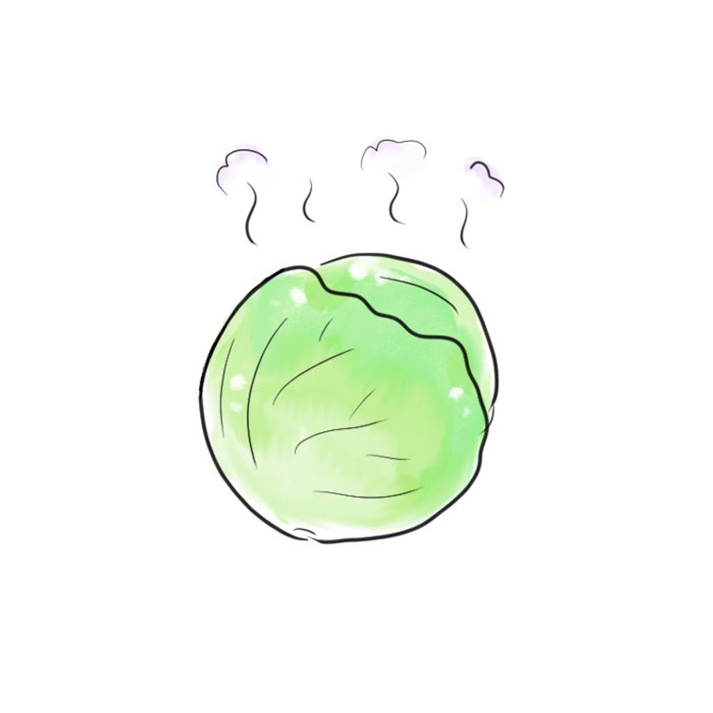 海藻
