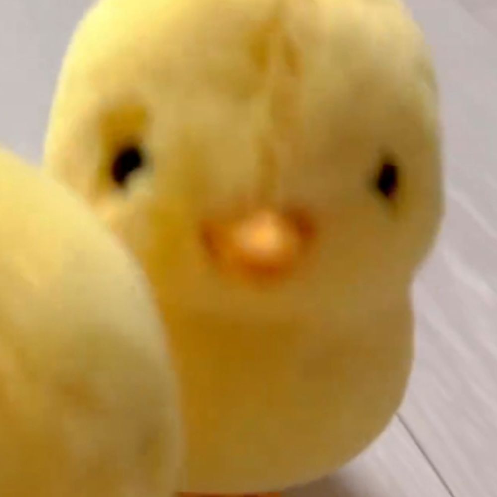 서사빌런 🐥김로빈🐥