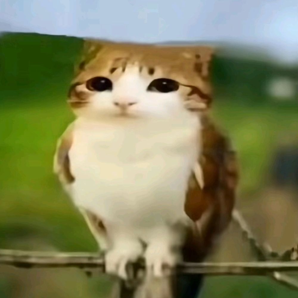 Mr.eggly