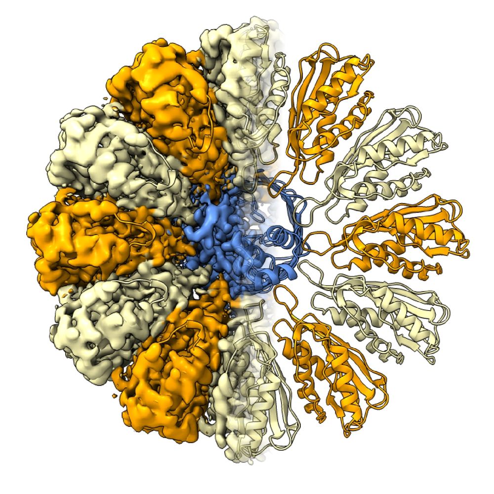 Kedrov Lab @ HHU