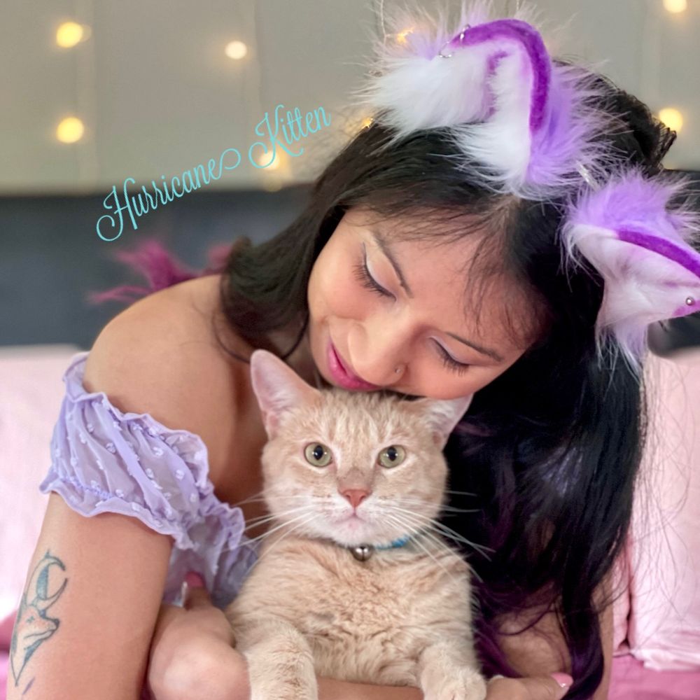 TNS | Hurricane Kitten ✨