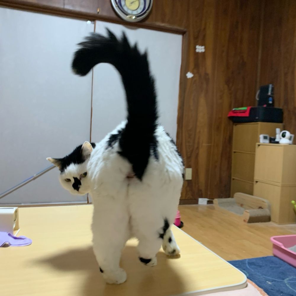 友希香