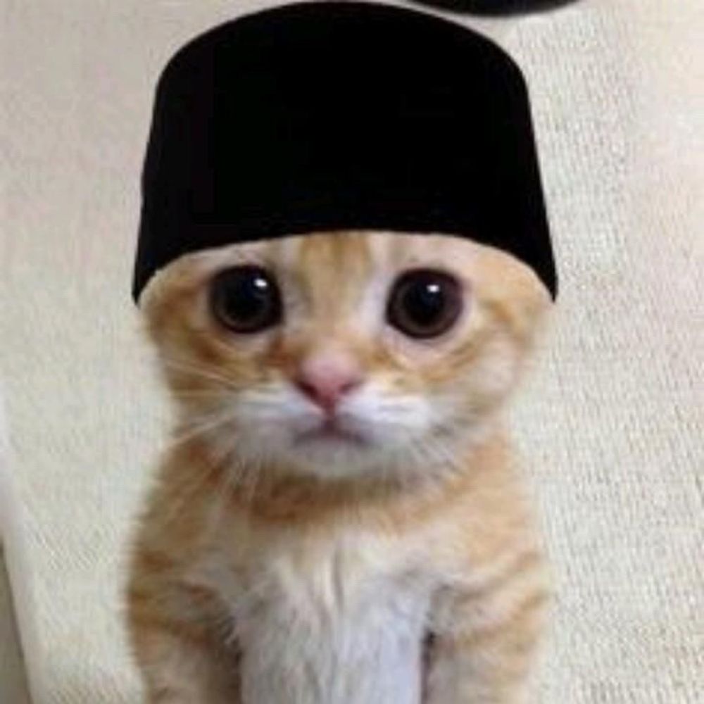 Cing