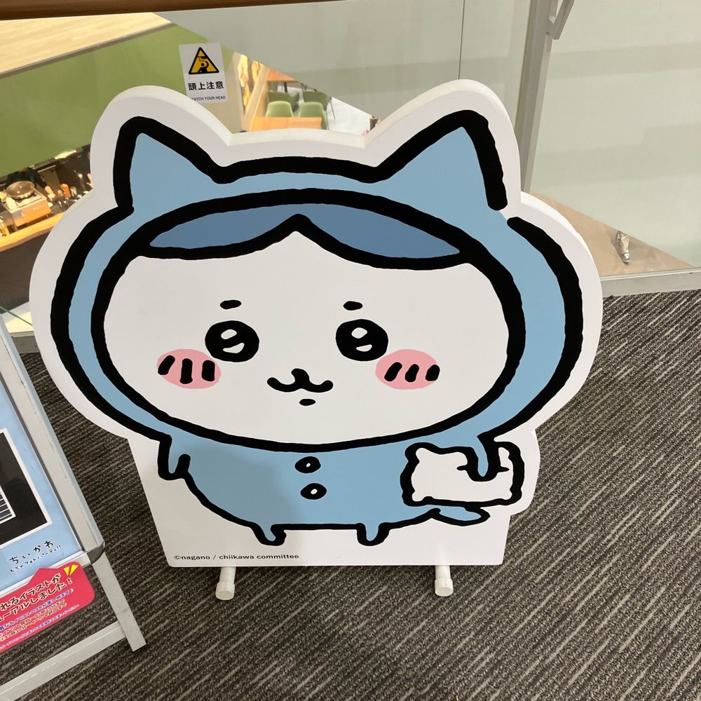 入江
