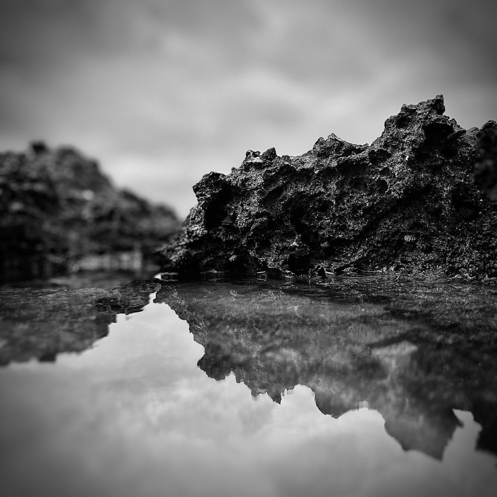 BellView_photography