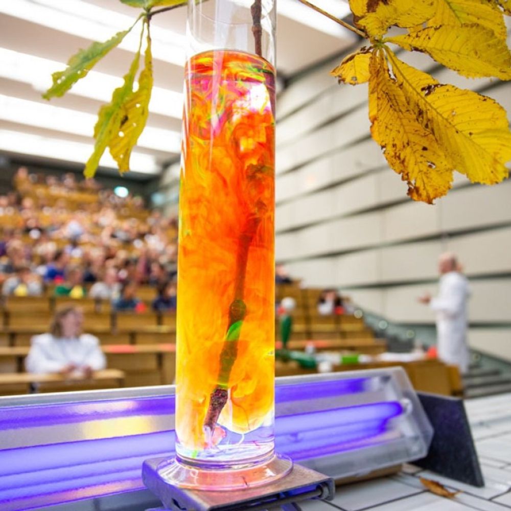 Department of Chemistry and Pharmacy, Münster