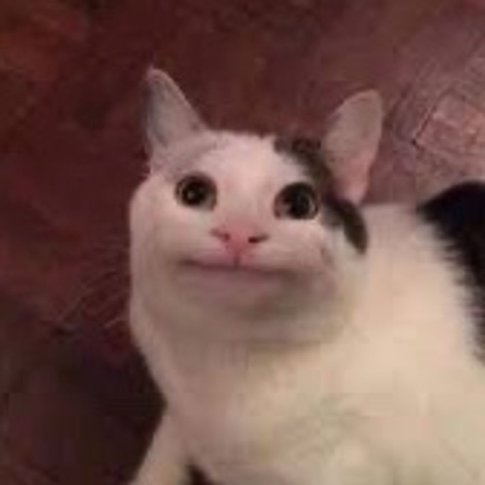 더치