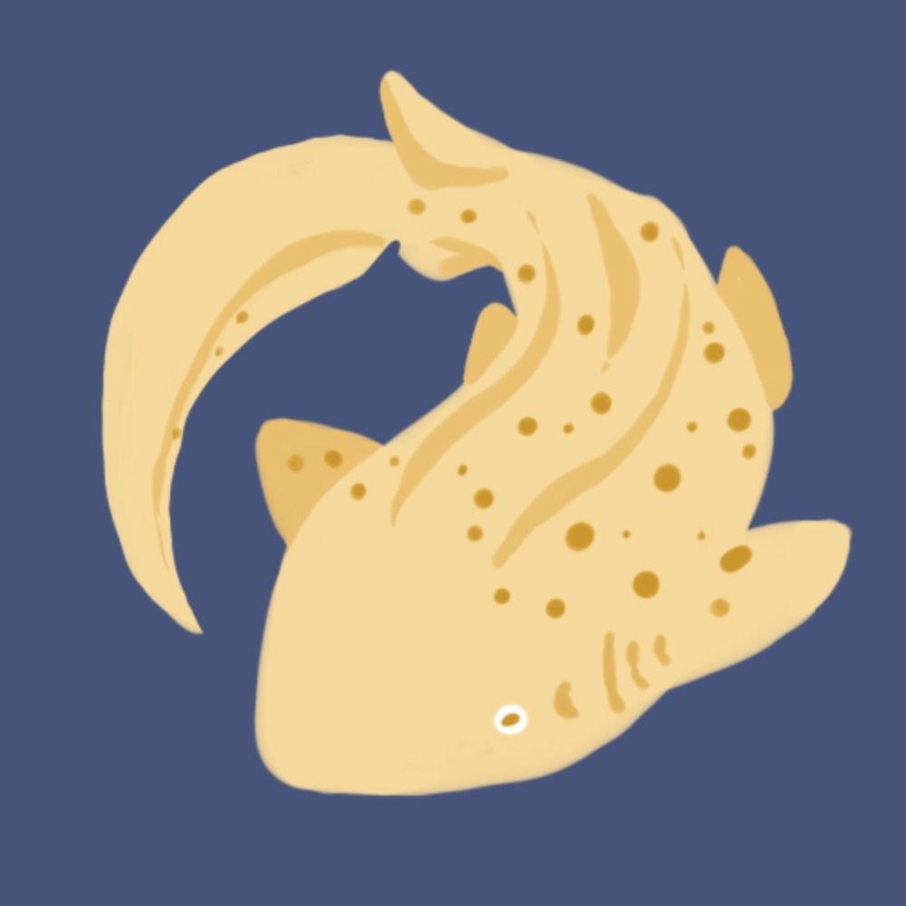 べっちゃん🦈