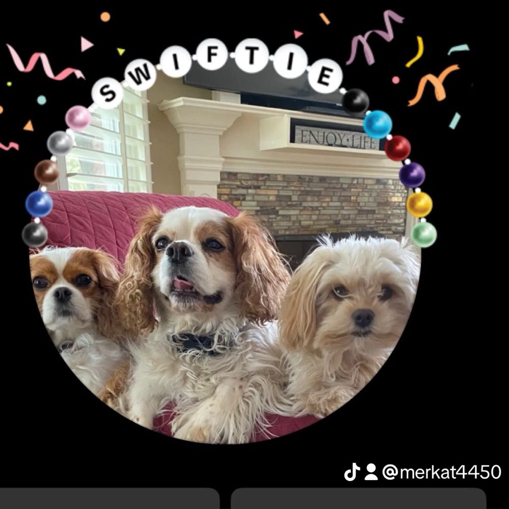 Swiftie over 50
