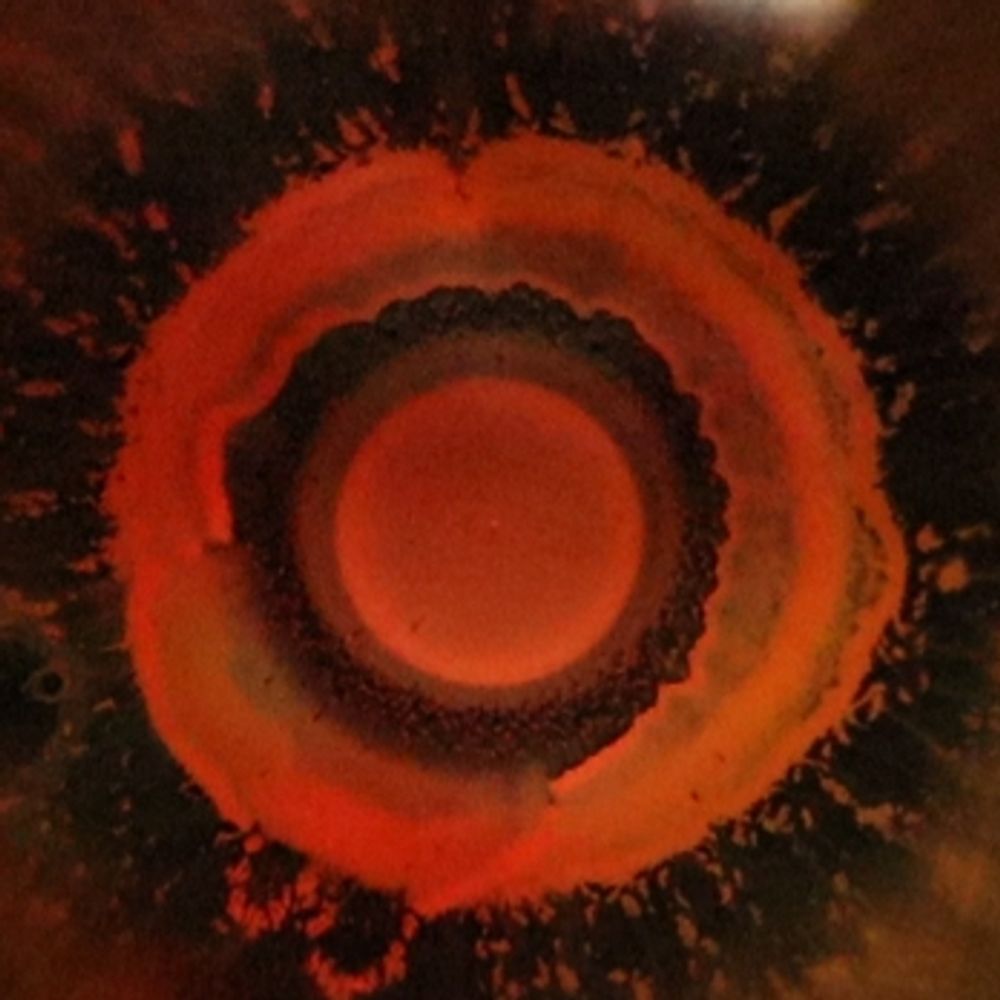 VISCOVOID