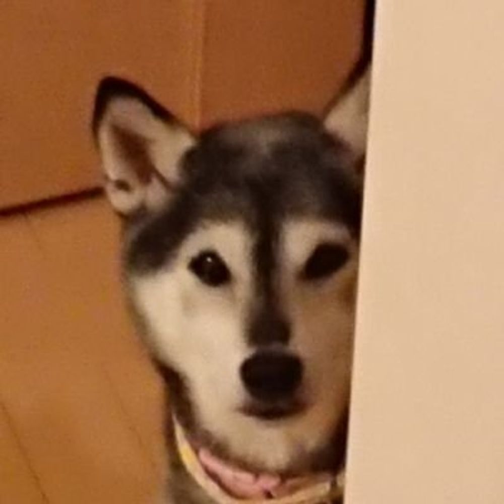 あそぱそ