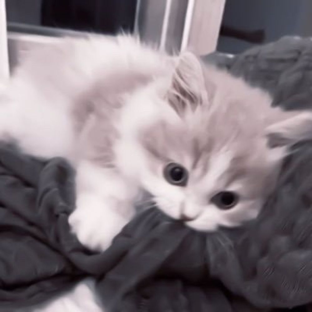 ？
