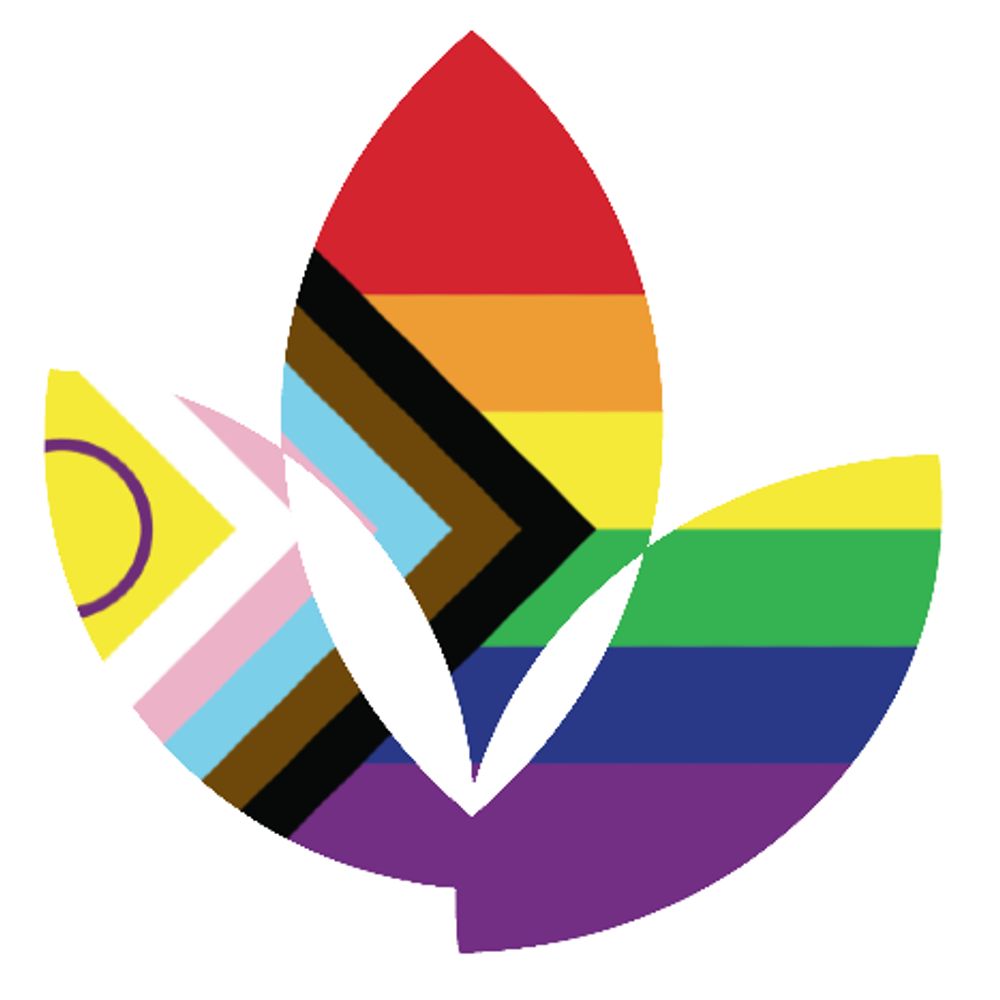 BSG LGBTQ+ SIG