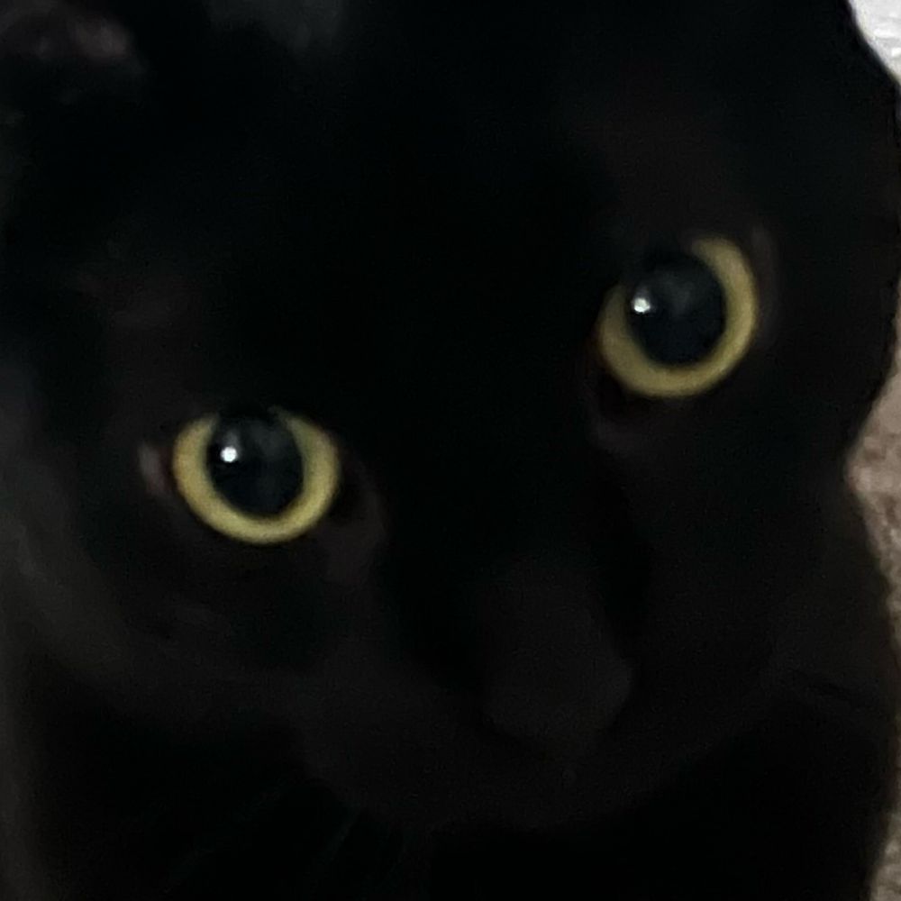 danwee