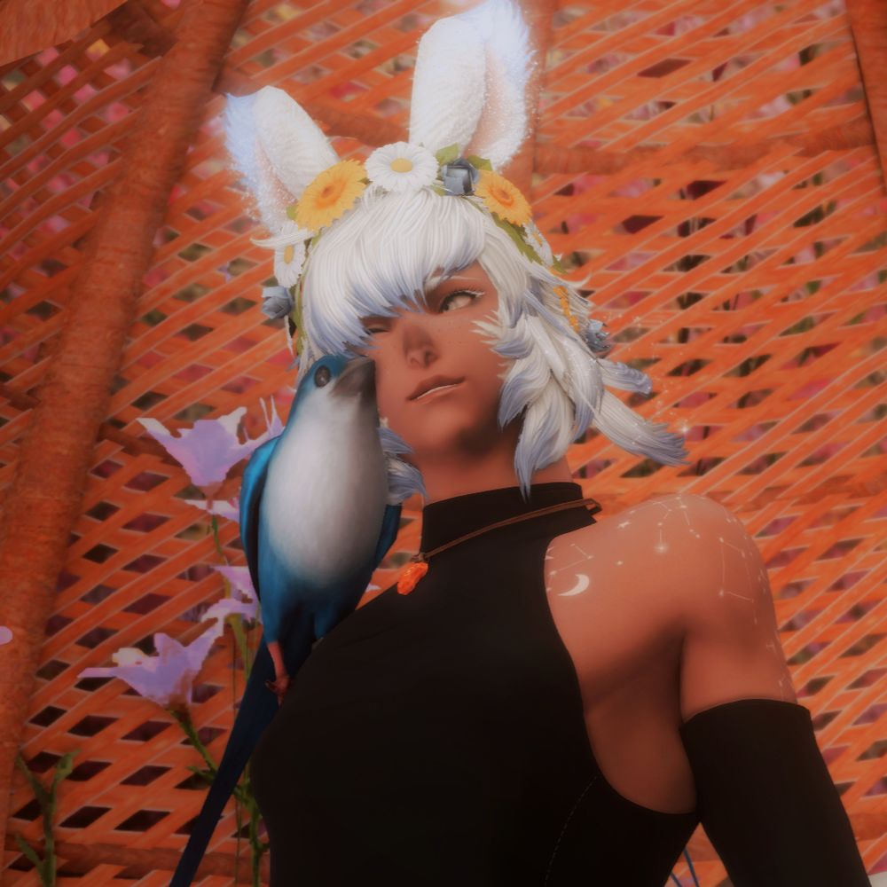 Birbterra