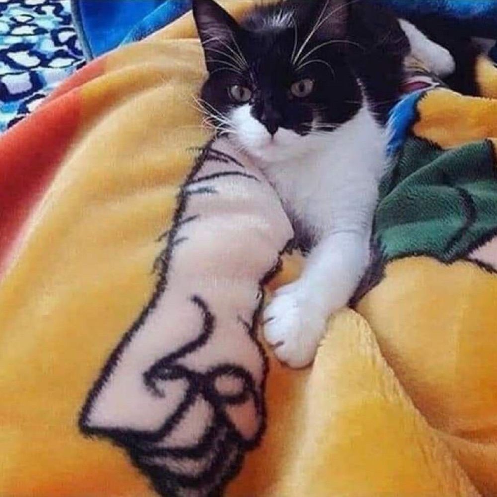 mf