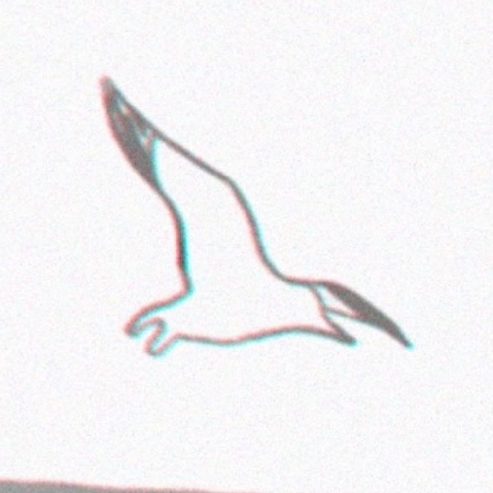 ひらこ