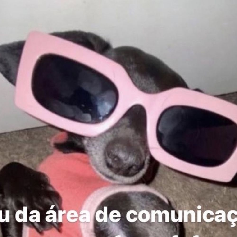 Fã de Isabella Swan