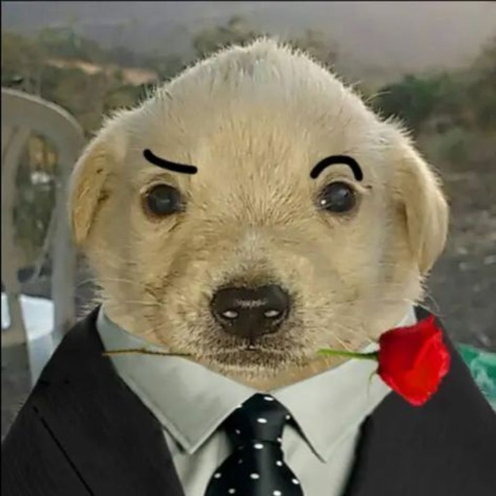 Petefino