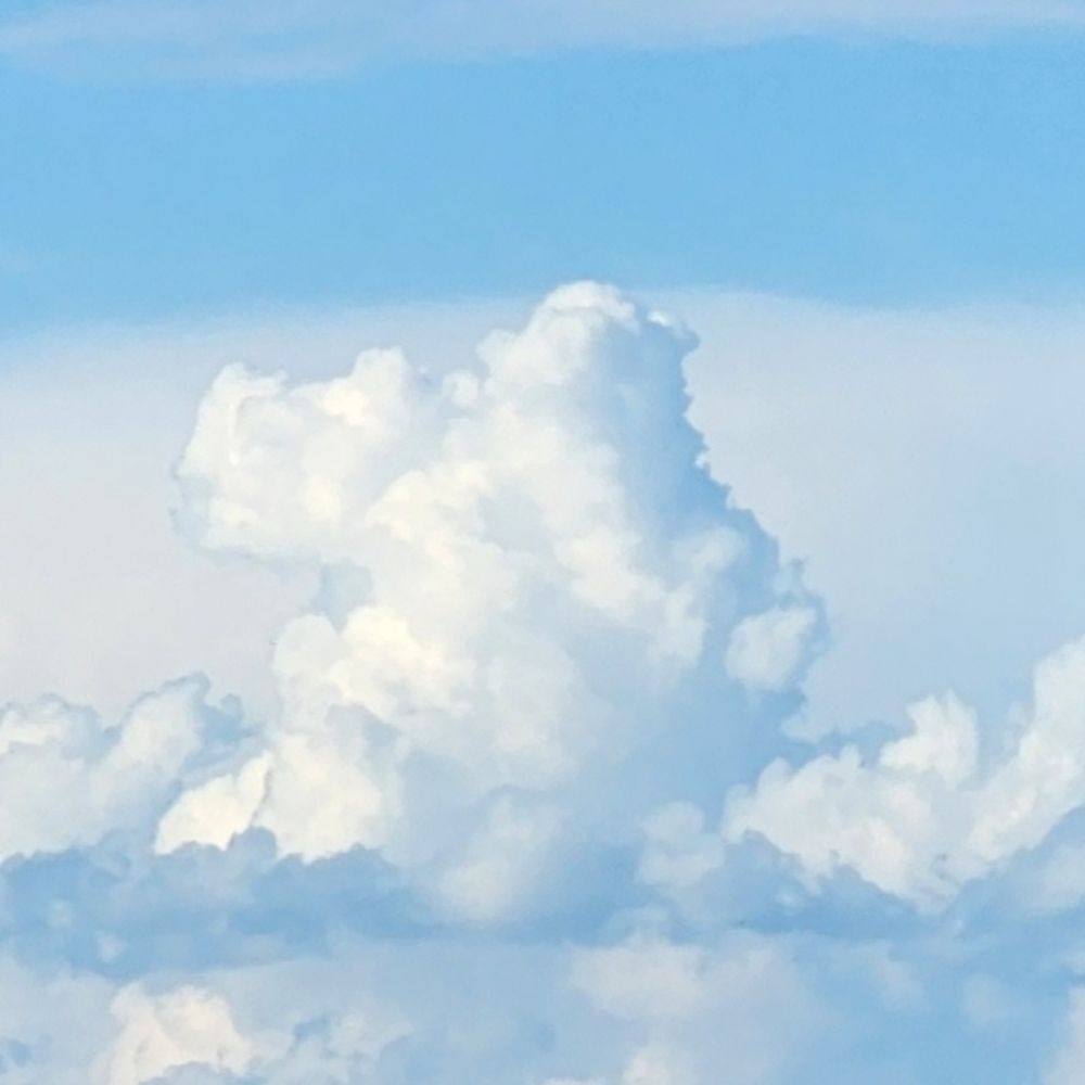 法