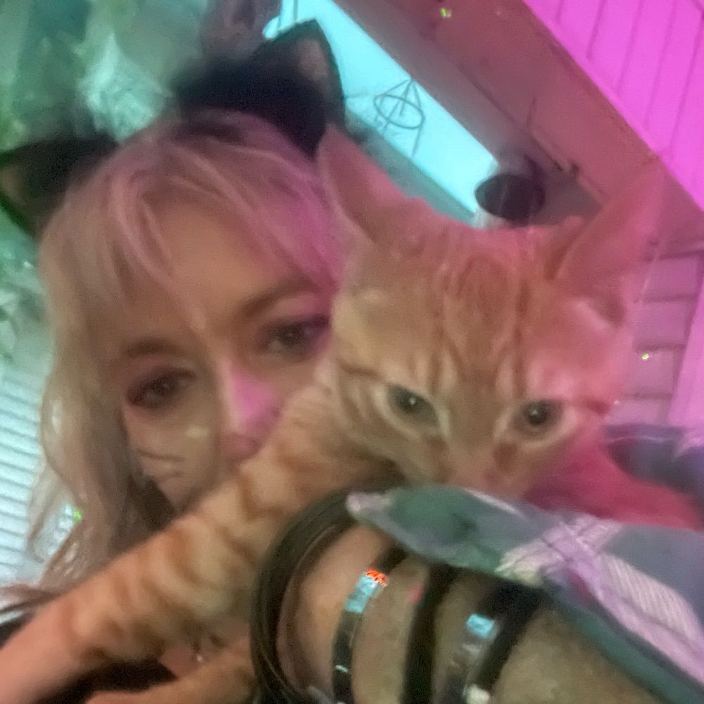 Krista Kitty