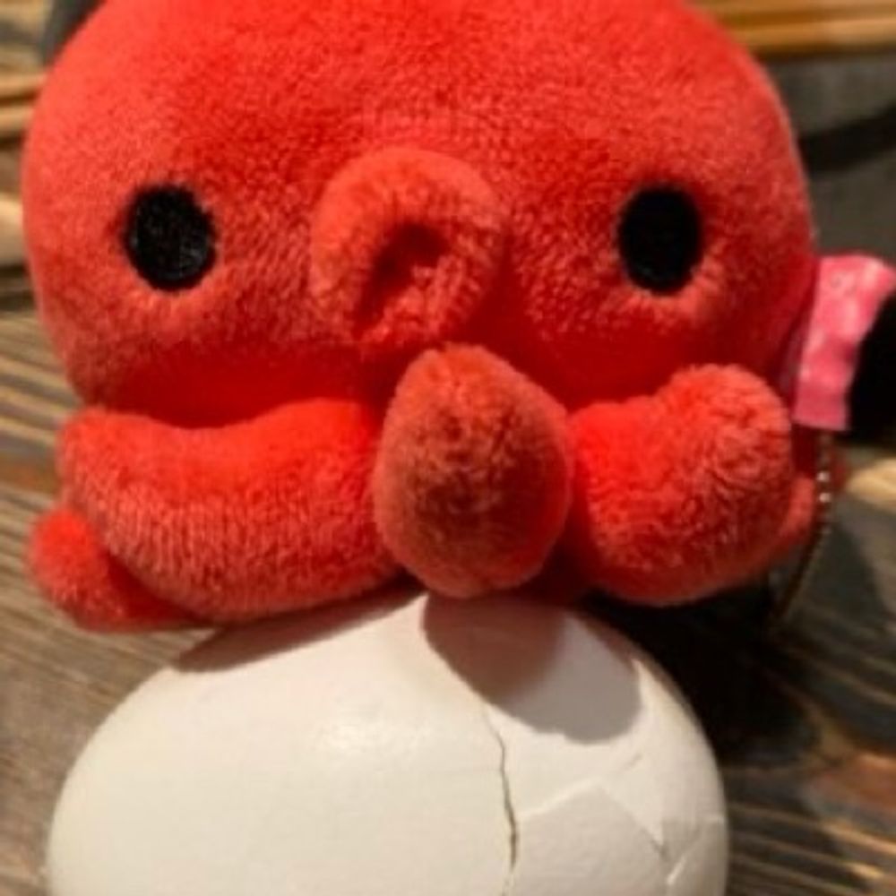 🐙