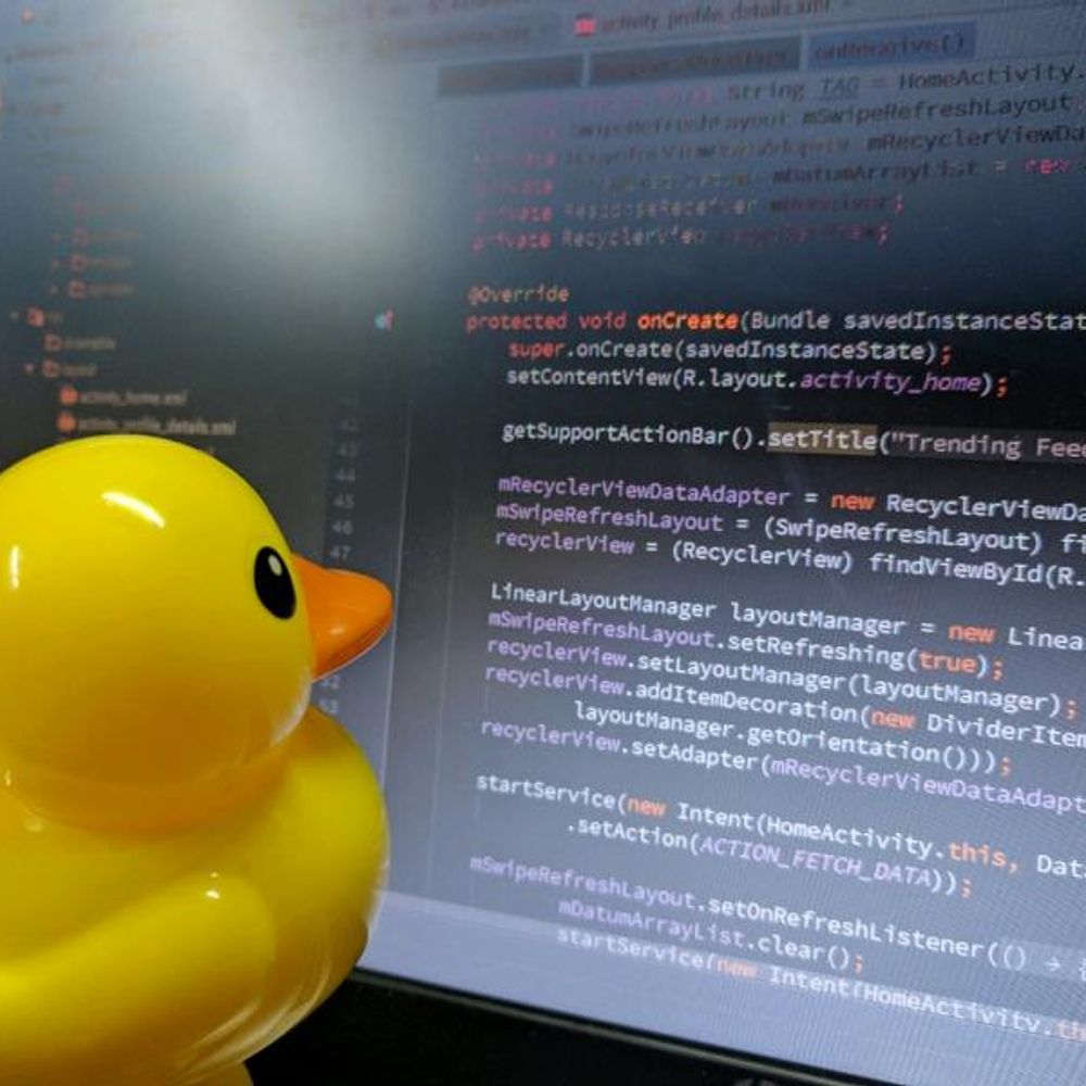 The Duck Report