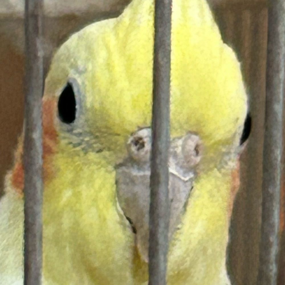 Ghanaサブ