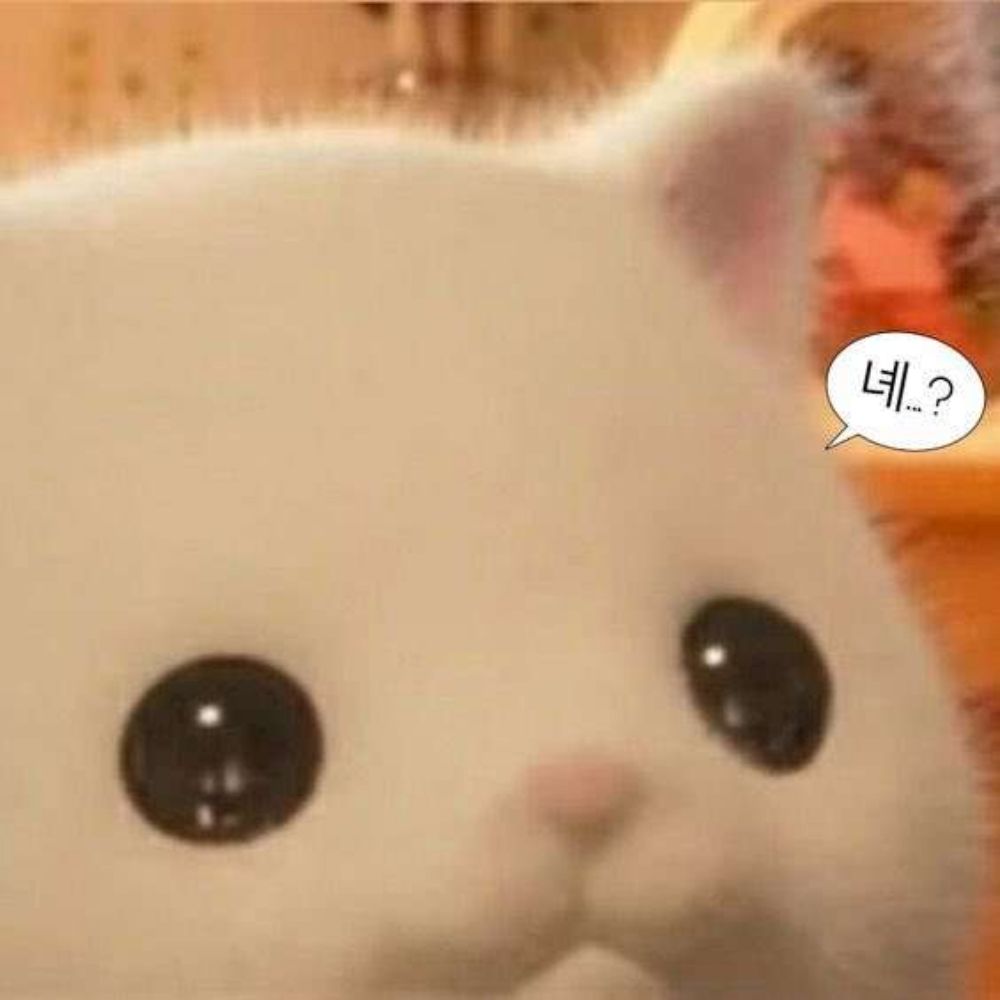 햄햄웨이