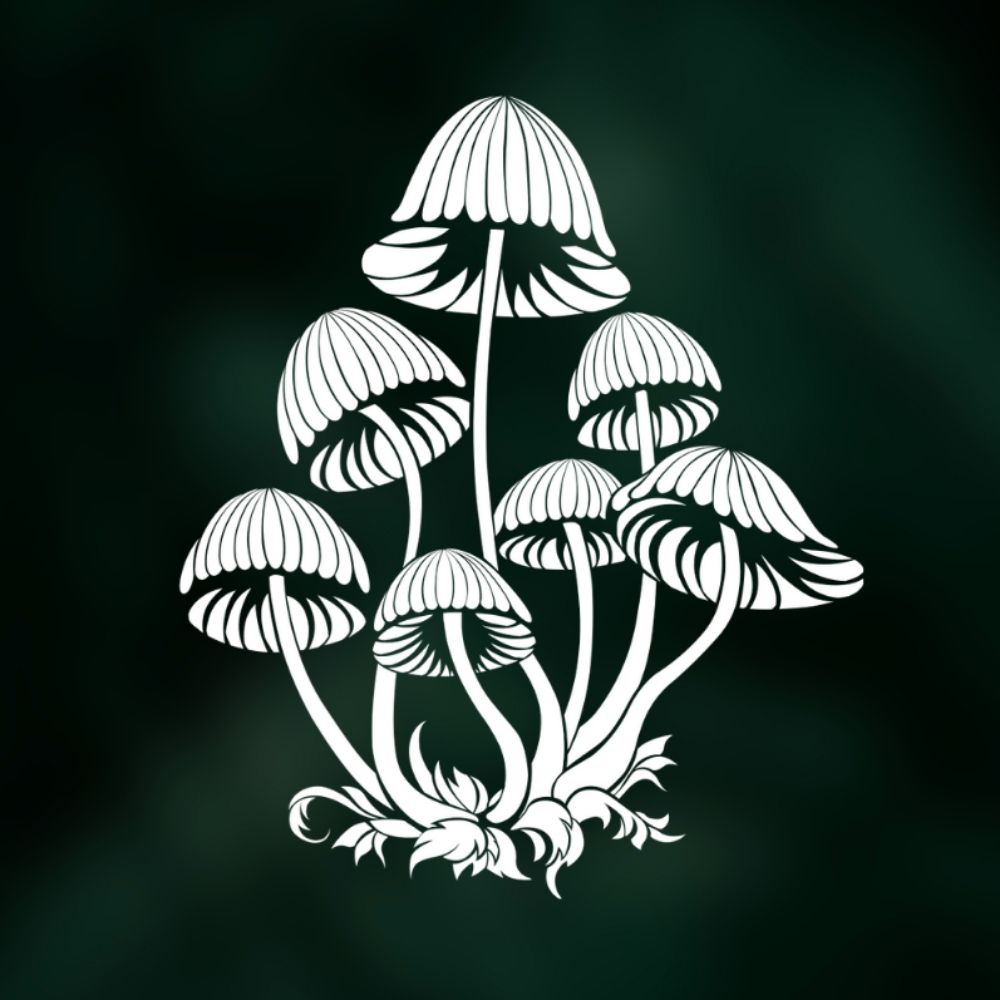 MushroomQueen 🍄 by LW