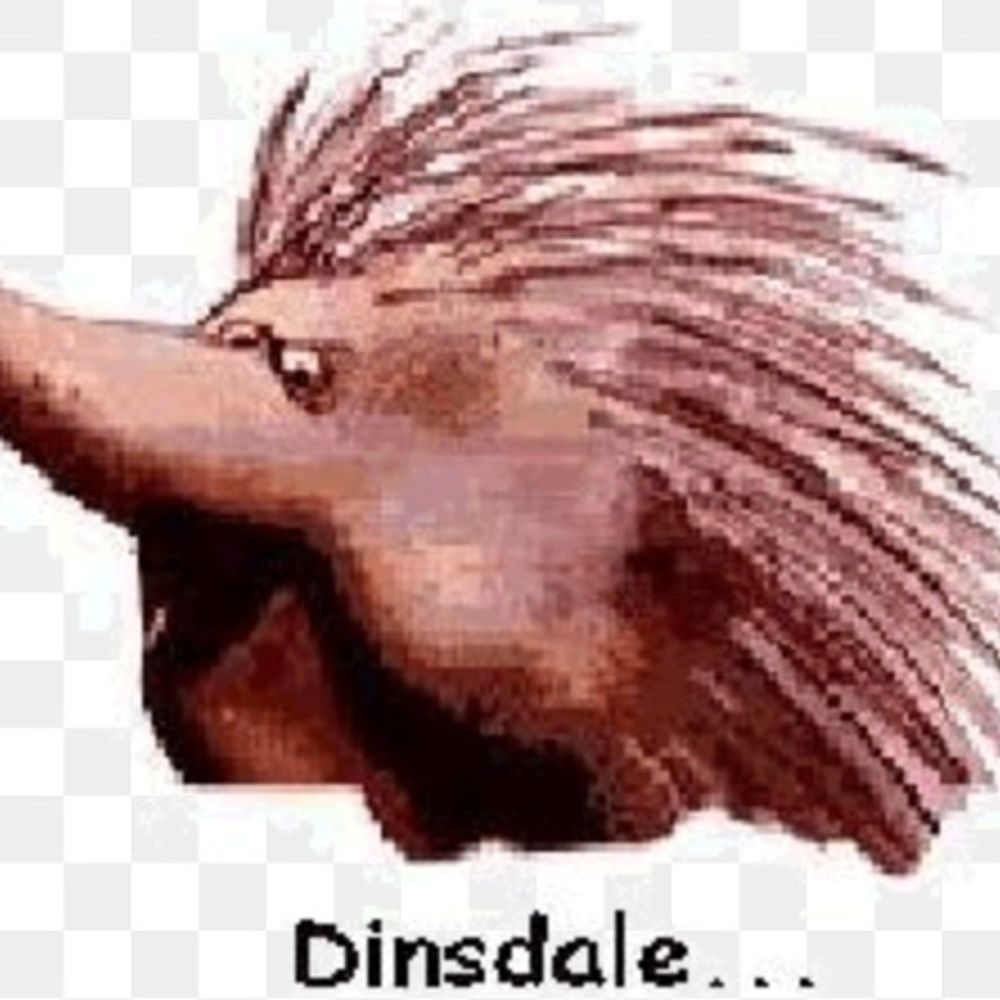 A.k.a Dinsdale on Twitter 