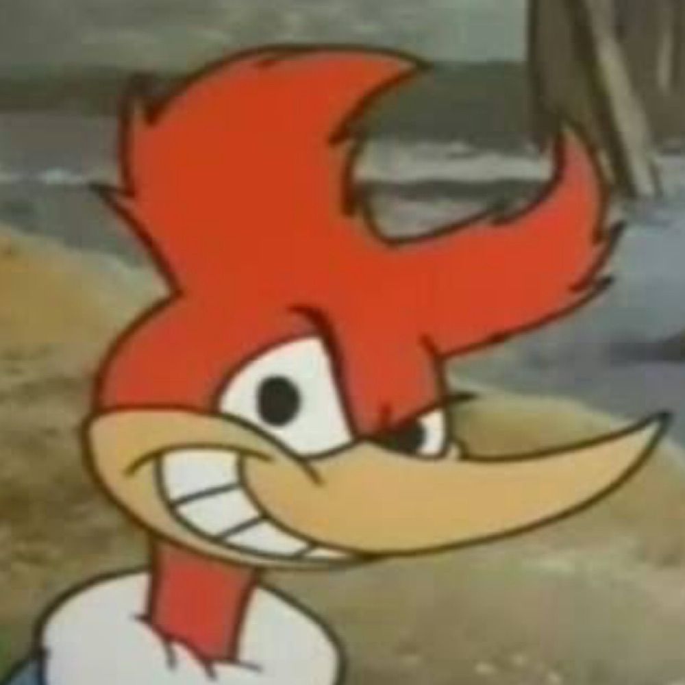 Fe 