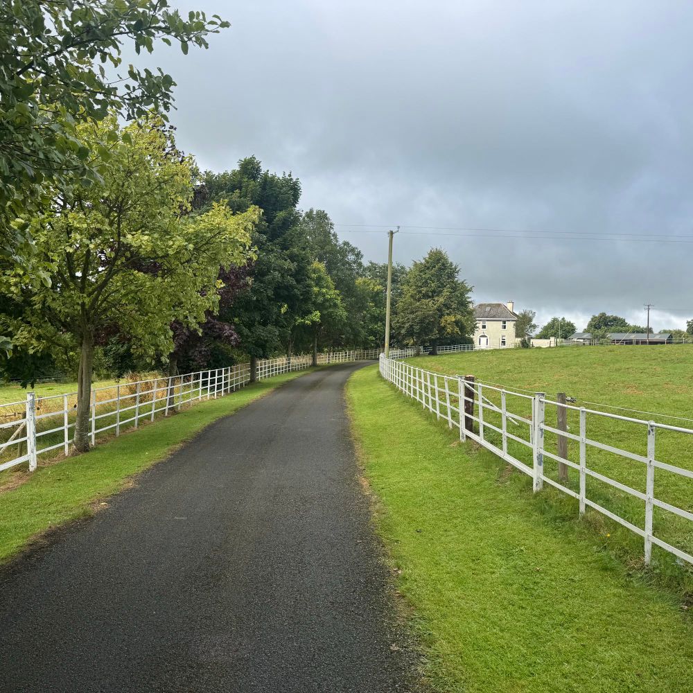 Delphi stud Irl