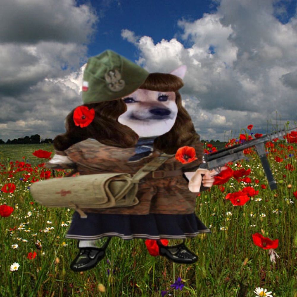 Partisan Fella 🇺🇸🇺🇦🌻