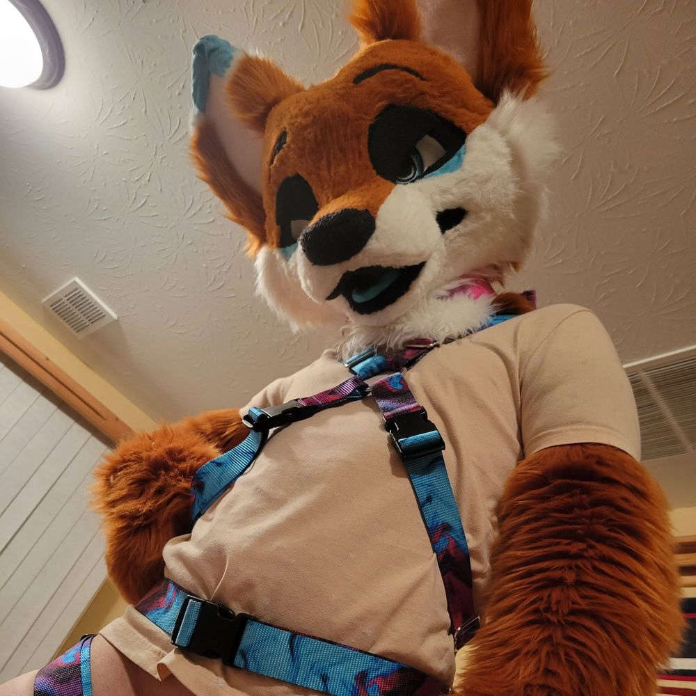 TAL_os@AC!