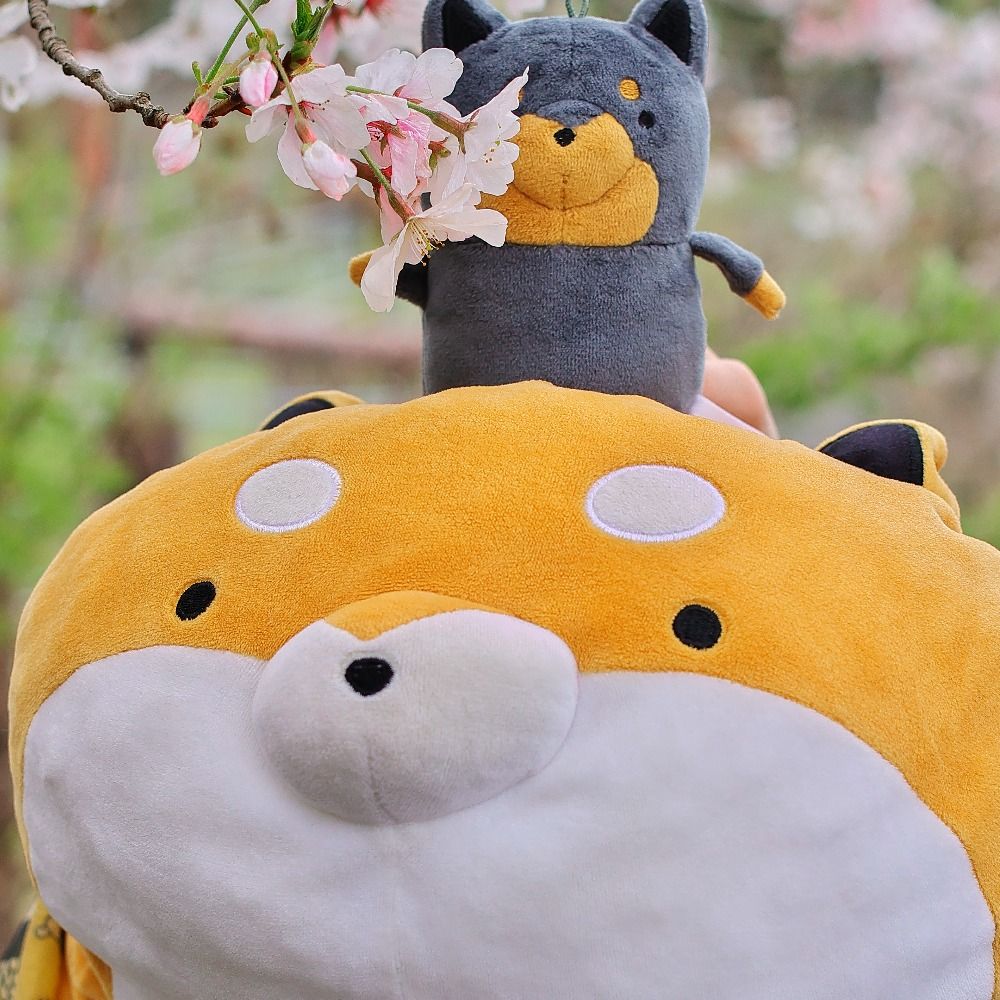 わおん
